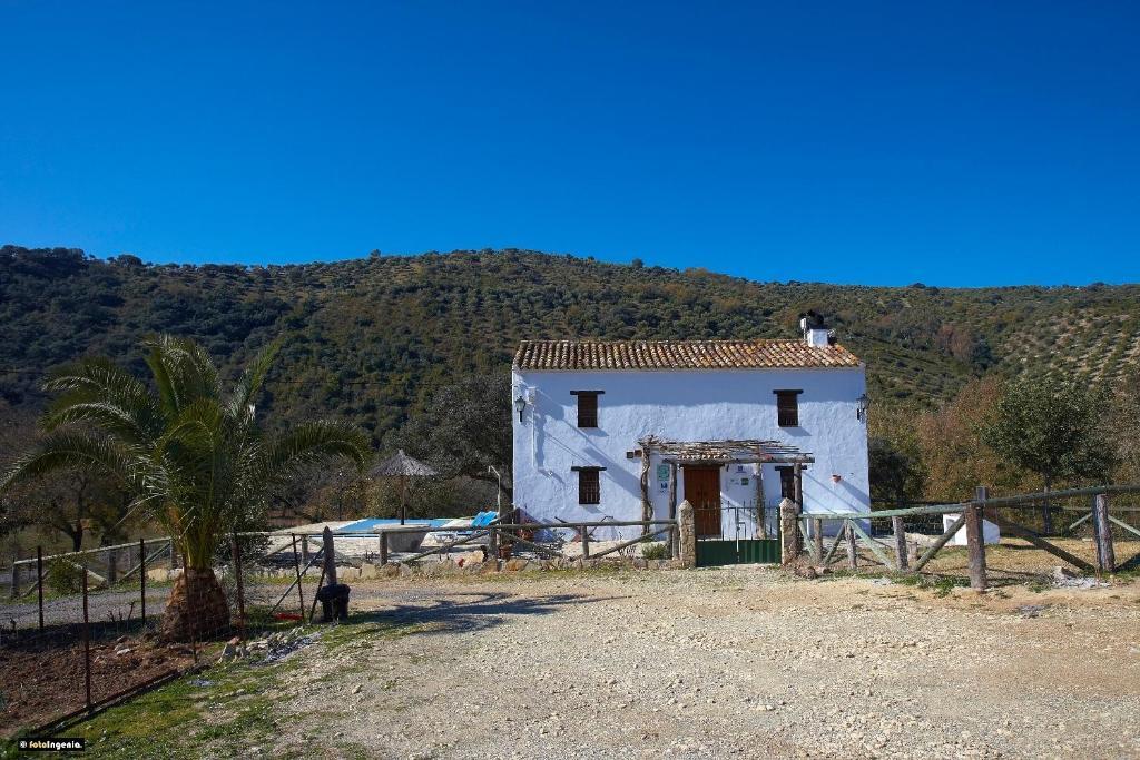 אל בוסקה Hotel Enrique Calvillo חדר תמונה