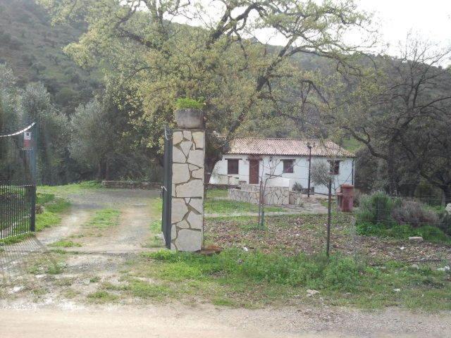 אל בוסקה Hotel Enrique Calvillo חדר תמונה